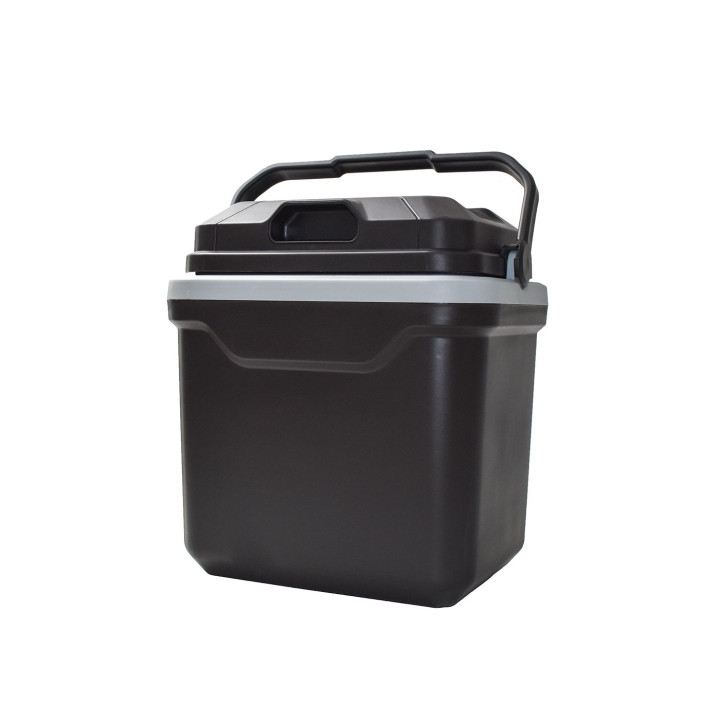Bi-Energie-Kühlbox warm/kalt 24L 12/230V