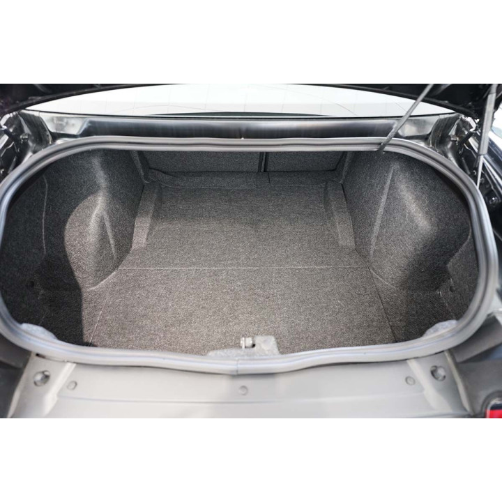 Guardliner trunk for Dodge Challenger III + Facelift 2014 CP/3 02.2008-