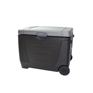 Dubbel energiekoeler op trolley 45L 12/230V
