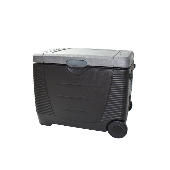Trolley cooler hot/cold bi-energy 45L 12/230V