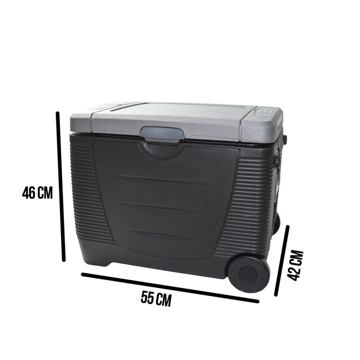 Glacière trolley chaud/froid bi-energie 45L 12/230V