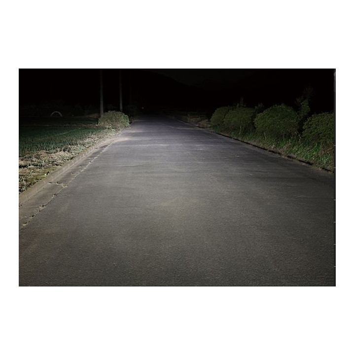 Pairs of LED bulbs conversion for H4 6600K/18W headlights