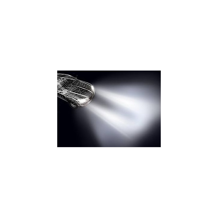 PIAA LEH220 Par de bombillas LED de conversión para faros H4 6000K/45W