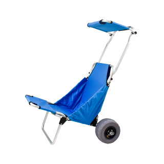 Carro Asiento de playa