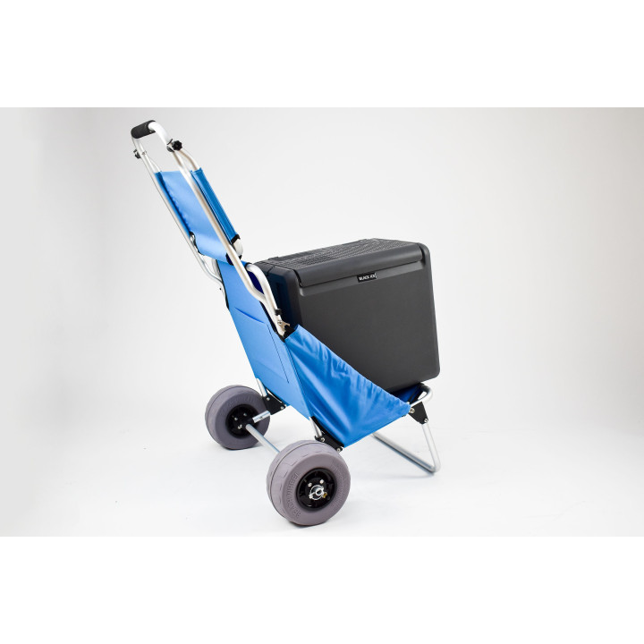 Carro Asiento de playa