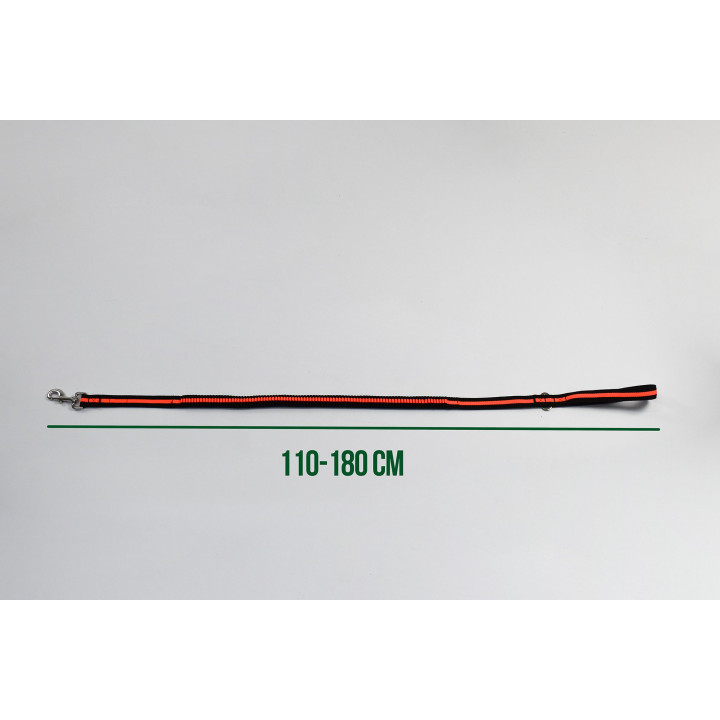 Laisse pour chien avec boucle de ceinture de sécurité