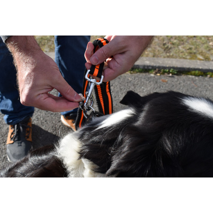 Laisse pour chien avec boucle de ceinture de sécurité