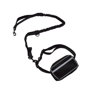 Running leash