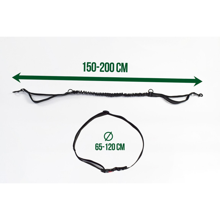Running leash