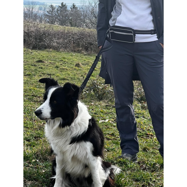 Running leash