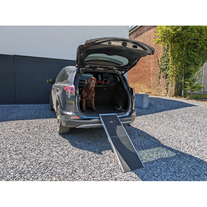 Foldable dog-box access ramp
