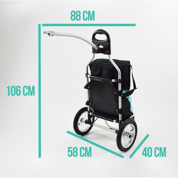 SHOPPING CARRELLO TRAINABILE