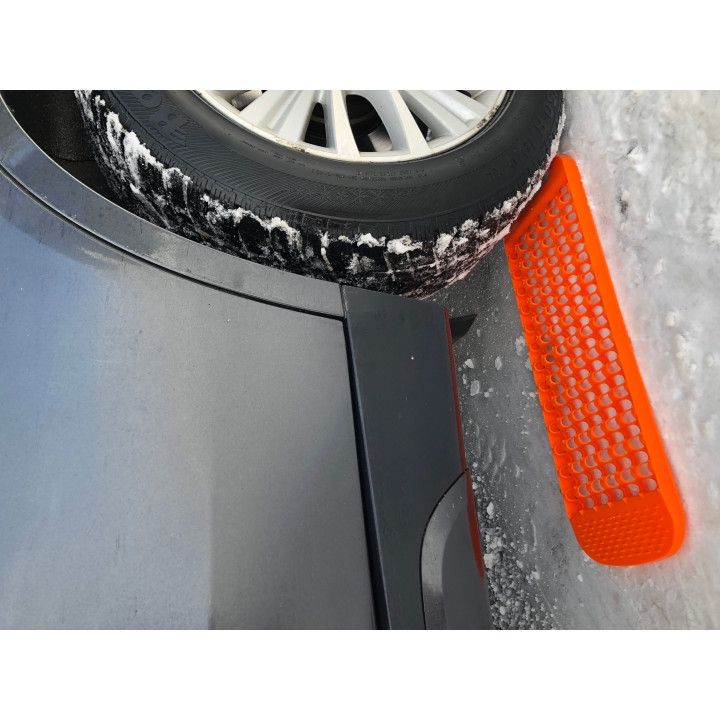 Paar sneeuwroosters