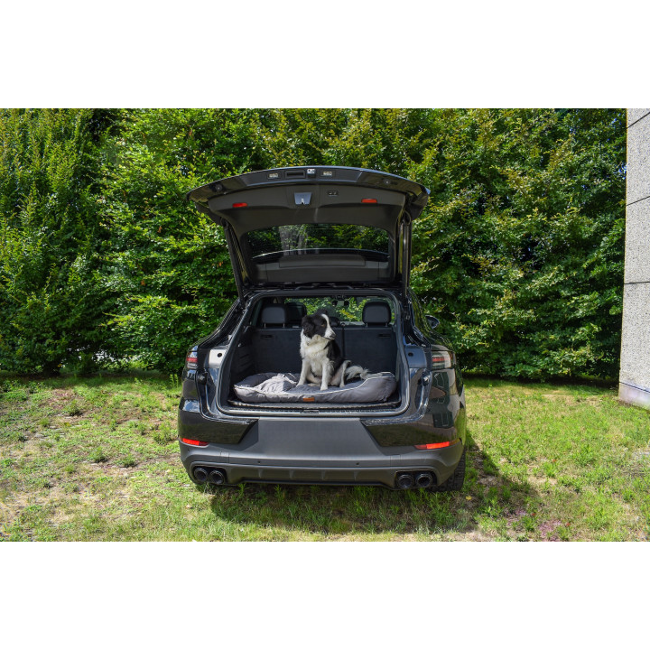 Hondenmand type slaapbox